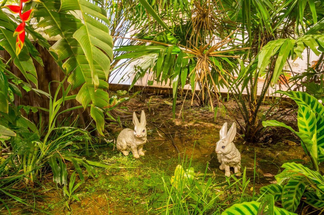 Casa Holiday Resorts Araku Eksteriør billede